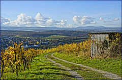 Keltern vorn, Schwarzwald hinten