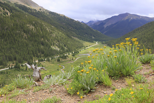 Independence Pass