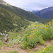 Independence Pass