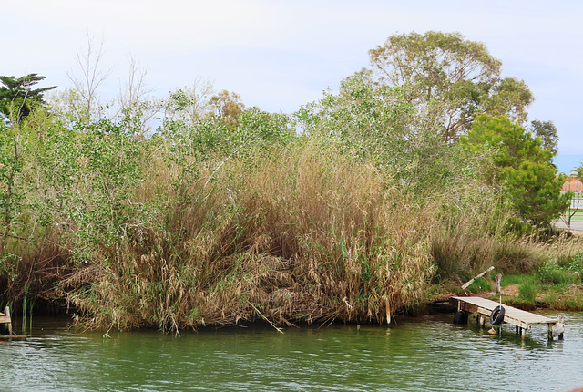 Delta del Ebro, 27