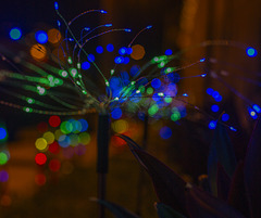 bokeh