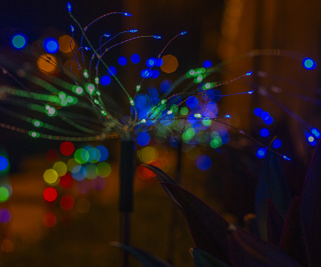 bokeh