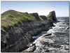 A walk along Worms Head
