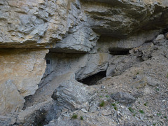 20150523 -25 Rando VTT La chapelle en Vercors (267) al