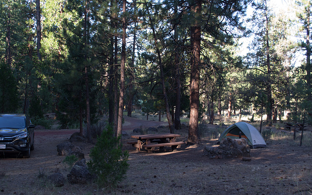 Adin CA Lower Rush Creek (#0083)