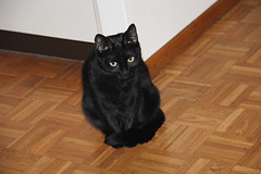 IMG 0512