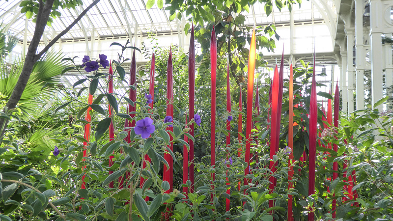 Dale Chihuly Retrospective at Kew Gardens