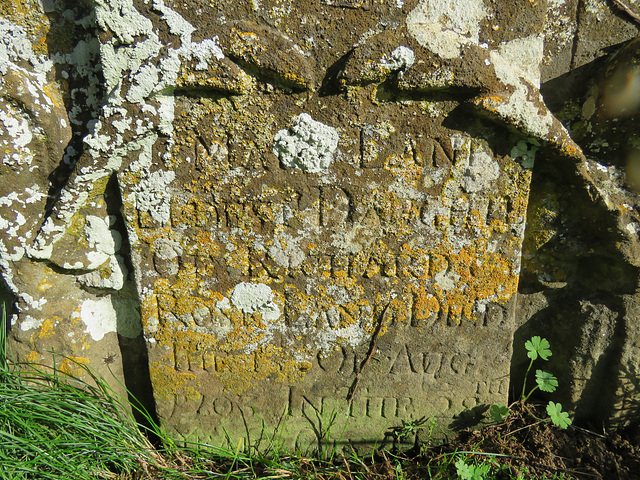 middleton stoney church, oxon  mary land +1703, c18 tombstone(61)