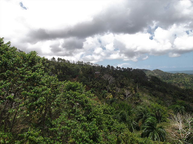 Immensité cubaine / Cuban wilderness