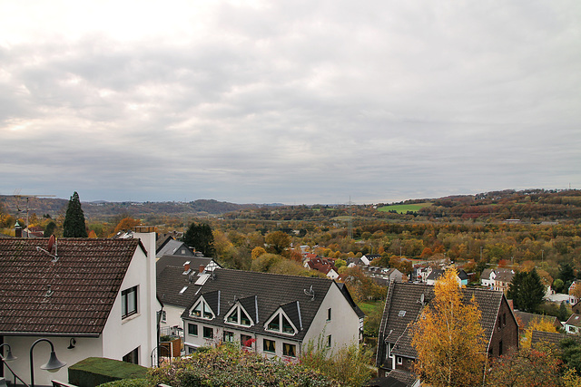 Blick über das Herbeder Ruhrtal (Witten) / 6.11.2021