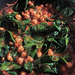 chickpea & spinach