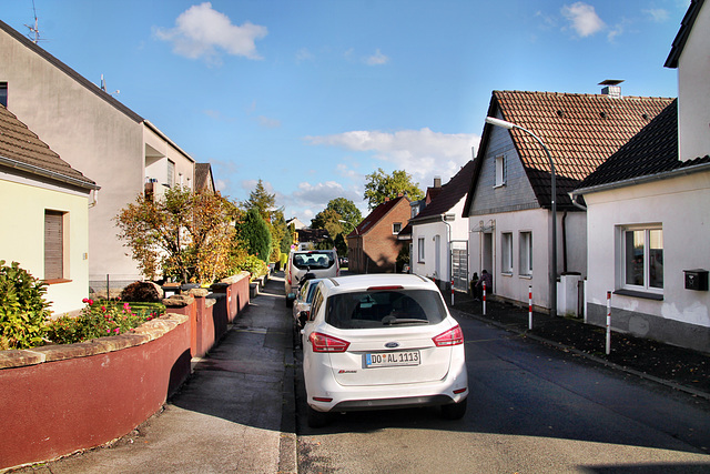 Niergartenstraße (Dortmund-Schüren) / 21.10.2023