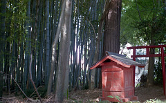 Small red shrine