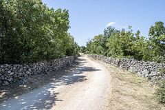 Burnum, Krka National Park - Croazia