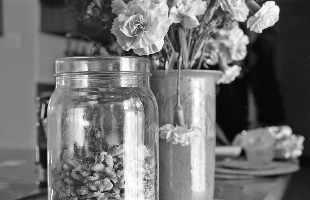 Nuts and Flowers