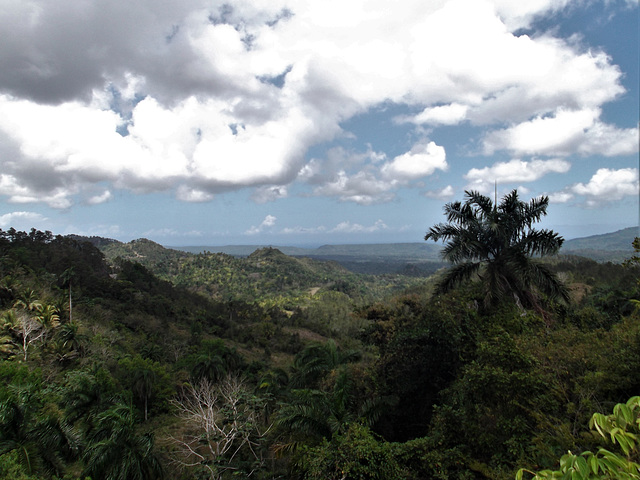 Cuban wilderness / Immensité cubaine