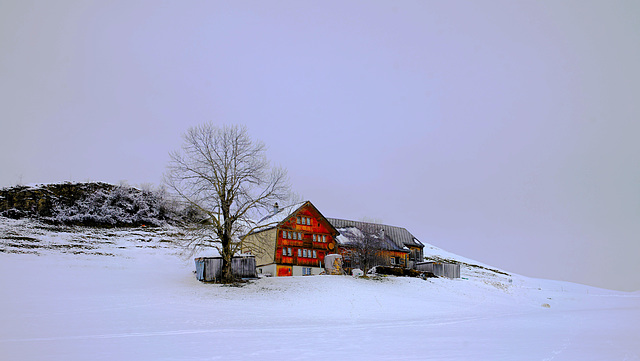 Barfussweg Jan 2024