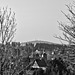 20250405_Wanderung um Benneckenstein