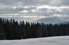 Буковель, Зимний лес