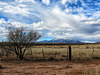 Santa Rita Mountains