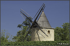 Windmühle im Weinfeld
