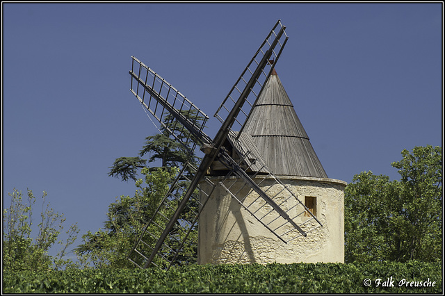 Windmühle im Weinfeld