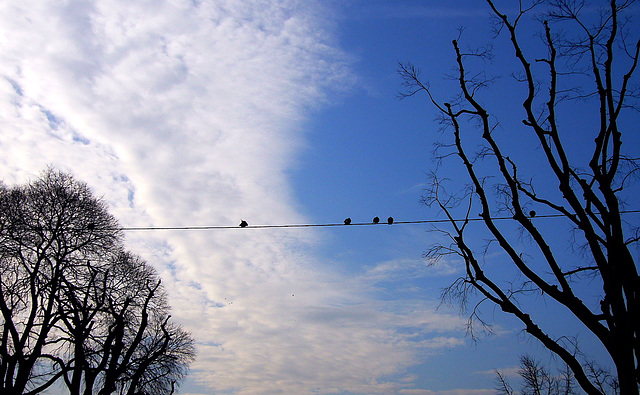 winter morning lineup