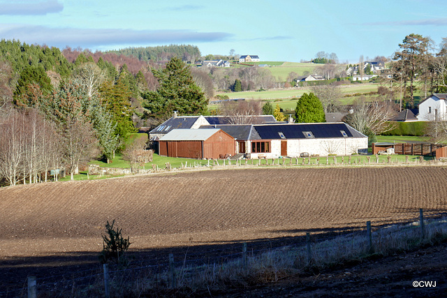 Rafford winter sunshine