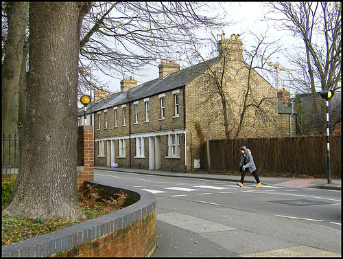 Hollybush crossing