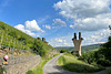 Blick zum Kletterpark