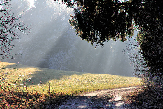 Spaziergang am 1. Januar 2017