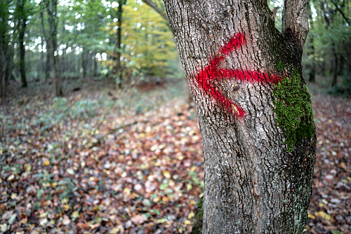 This way, Hansel and Gretel (28.10.2018)