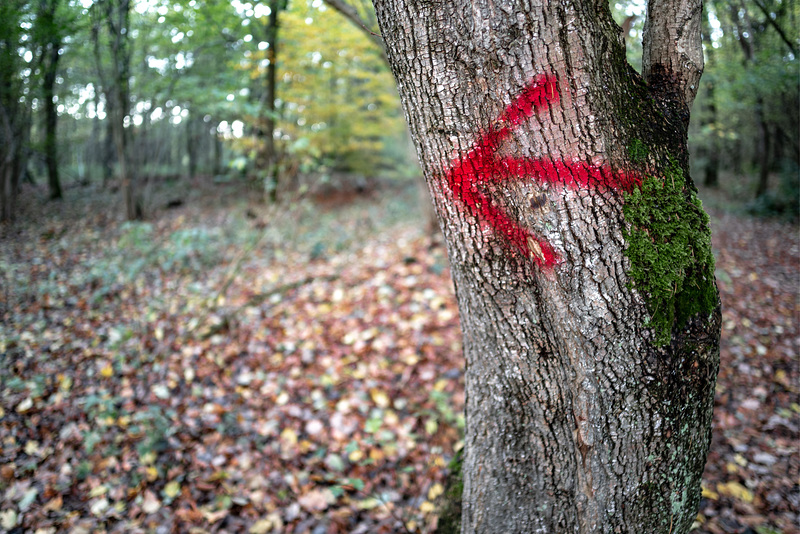 This way, Hansel and Gretel (28.10.2018)