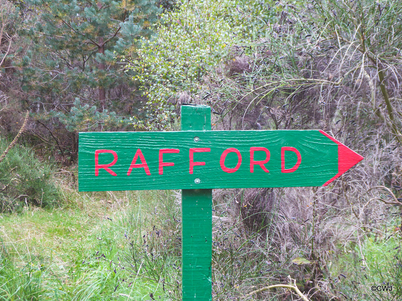 Just in case we get lost going home!