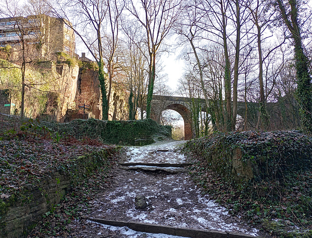 Frosty day walk...