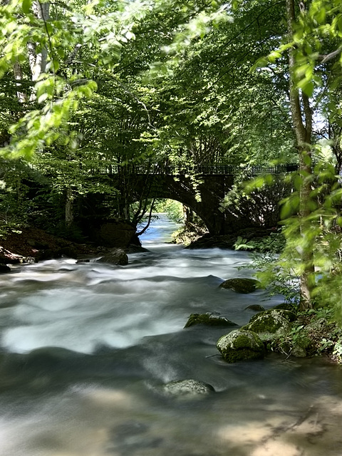 Along the creek.