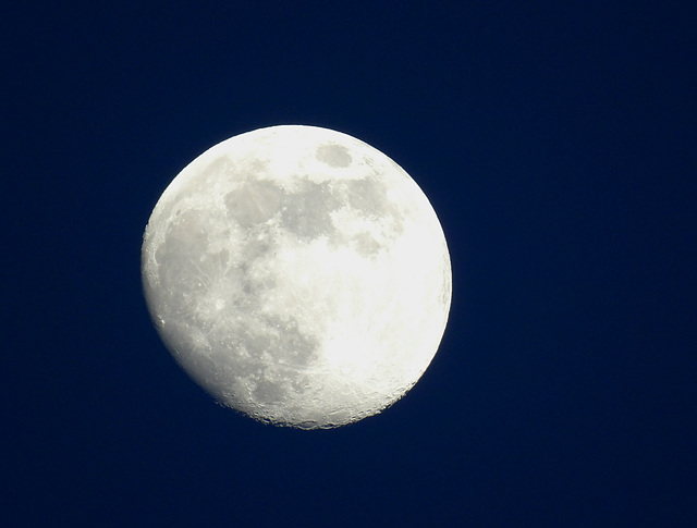 La lune du 11 janvier 2025 .