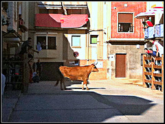 Fiestas de Falces (Navarra), 1.