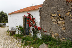 Mata Pequena, Portugal