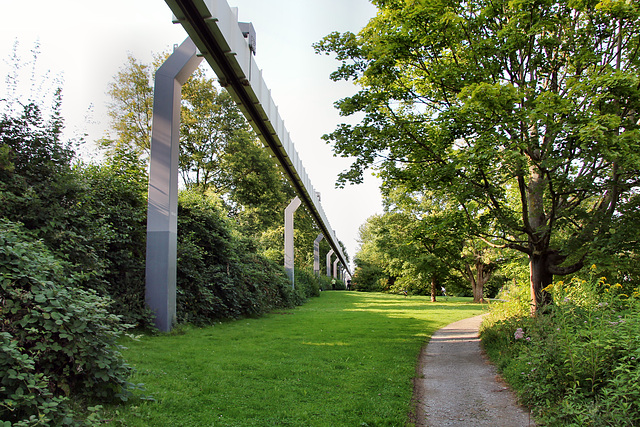 H-Bahn-Trasse neben der Marie-Curie-Allee (Dortmund-Barop) / 20.08.2021