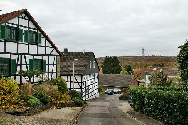 Schulstraße (Witten-Herbede) / 6.11.2021