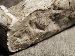 Saint Nectaire fermier