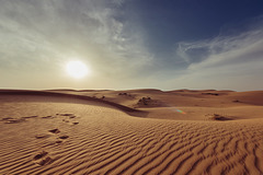 Become Desert