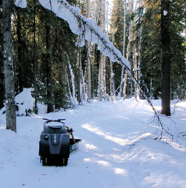 on the trail