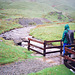 Looking to Patterdale Common from the Footbridge over Grisedale Beck (Scan from May 1990)