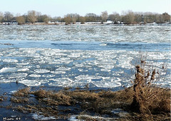 LA LOIRE le 10 février 2012