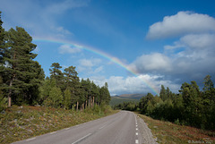 von Stora Sjöfallet retour nach Gällivare (© Buelipix)