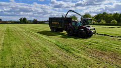 First silage of '25