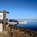 WALVYS BAY / Namibia -  Ready for a catamaran tour
