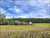 Ferme isolée